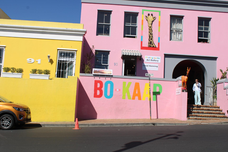 Cape Town: Table Mountain, Bo-Kaap, & Boulders Beach Tour