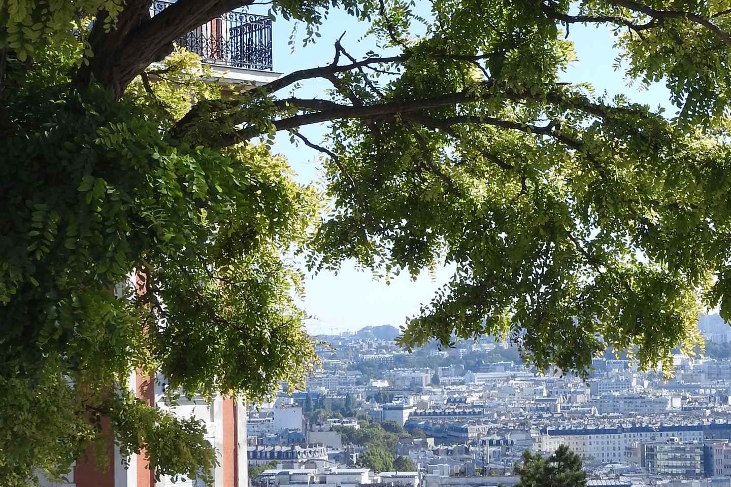 Paris: Sacré-Coeur and Montmartre Tour with Expert Guide