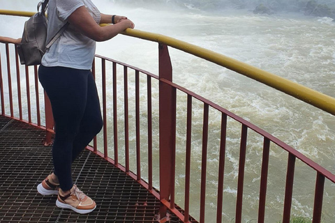 Cascate di Iguazu: Trasferimento privato al Parco Brasiliano e degli Uccelli