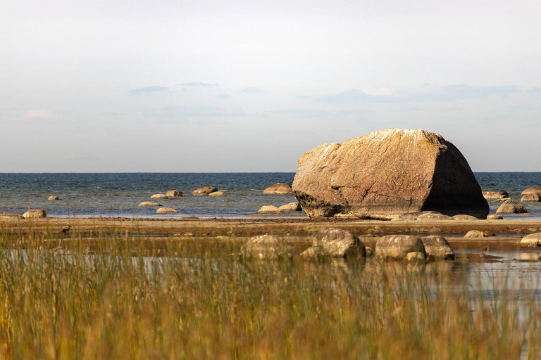 From Tallinn: 5-Day Wild Estonia Tour with Bear Watching