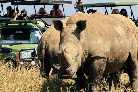 Nairobi Park Safari, Sheldrick's Orphanage & Giraffe Center Shared Drive in Open-Roof Van Game Drive