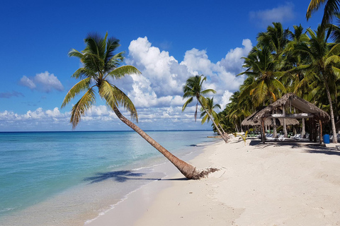 Excursion à Rumbadera sur l'île de Saona