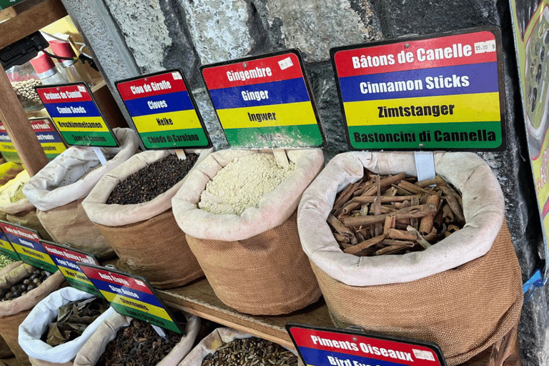 Excursion dans le nord de l&#039;île Maurice avec Port Louis et le jardin botanique