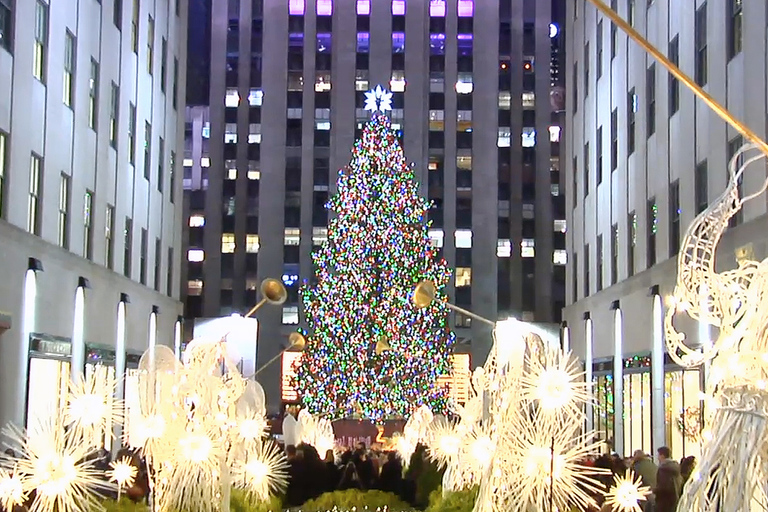 Z Manhattanu: Dyker Heights Holiday Bus TourWycieczka w języku angielskim o godz. 17.00