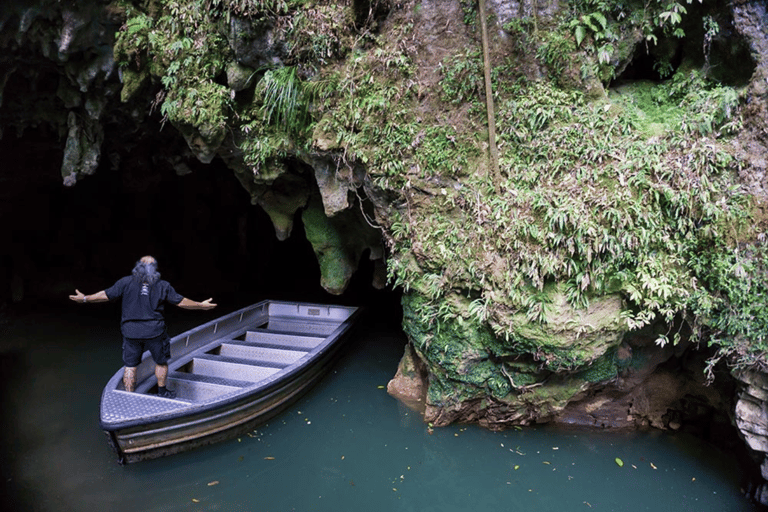 Private Day Tour: Waitomo Glowworms & Hobbiton Movie Set