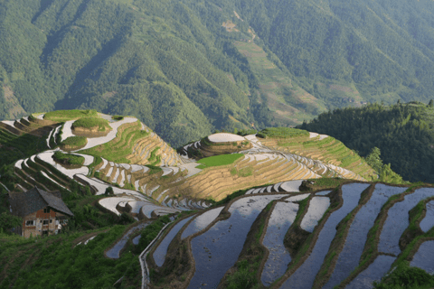 Guilin: Longji Rice Terraces Day Tour with Village Walks