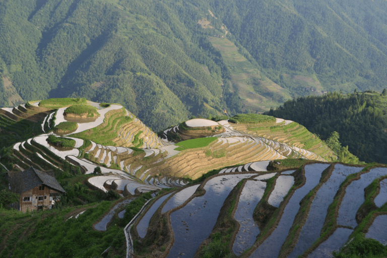 Guilin: Longji Rice Terraces Day Tour with Village Walks