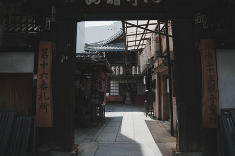 Kyoto Customisable Private Tour with a Local Guide