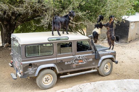 Kreta: Land Rover Safari auf der minoischen Route