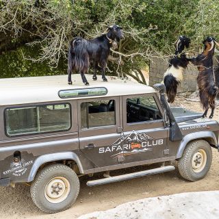 Crete: Land Rover Safari on Minoan Route