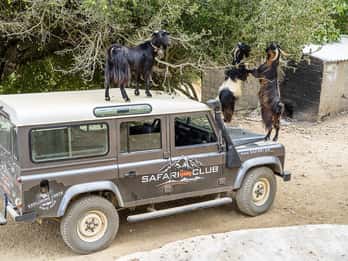 Крит: Land Rover Safari по минойскому маршруту