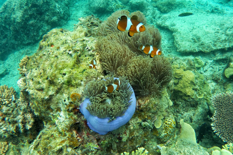 Zanzibar: Discover Jambiani Unique Sponge Farming Tour