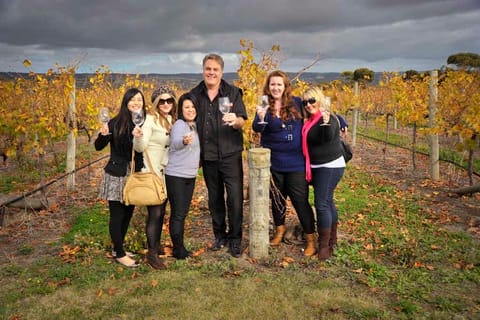 McLaren Vale Winery Experience - Small Group Tour