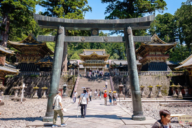 From Tokyo: Nikko Private Day Trip with Guide and Pickup