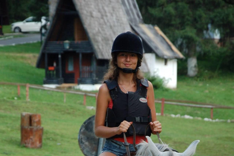 Brașov: Horseback Riding Experience