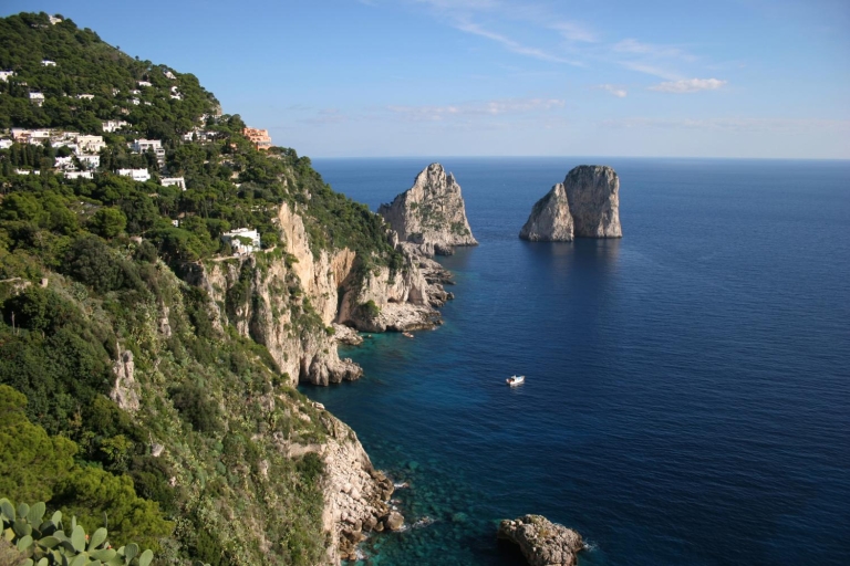 Ab Sorrent: Capri und Blaue Grotte TagestourTour auf Französisch ab Treffpunkt