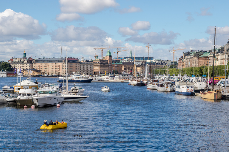 Stockholm: Bus or Bus & Boat Hop-On Hop-Off Tour Hop-On Hop-Off Bus Tour 24-Hour Pass