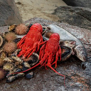 Hobart: Full-Day Tasmania Gourmet Seafood Cruise