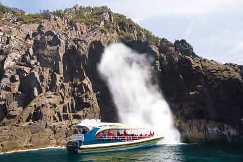 Bruny Island Wilderness Cruise