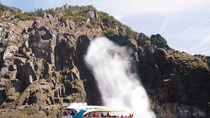 bruny island wilderness cruise
