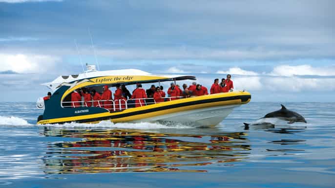 tasman island 3hour wilderness cruise