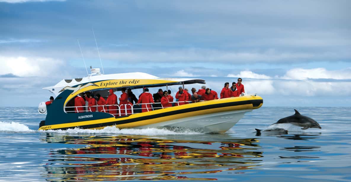 Tasman Island: 3-Hour Wilderness Cruise