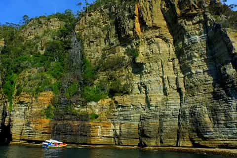 Tasman Island: 3-Hour Wilderness Cruise
