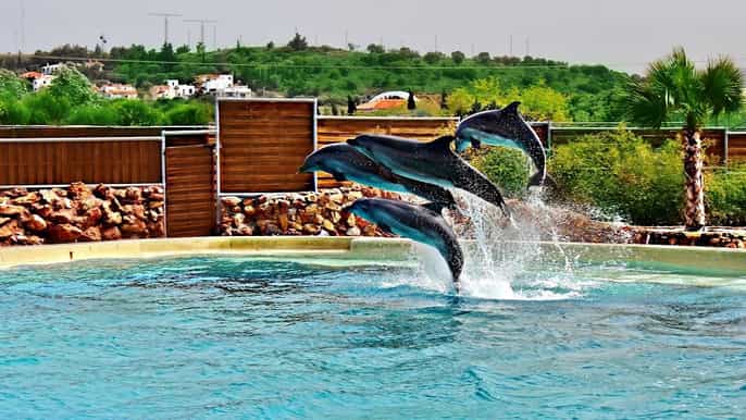 athens fullday attica athens zoological park ticket