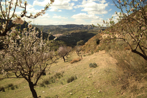 Granada: Tour in bicicletta della natura, della fauna selvatica e dei villaggi autentici