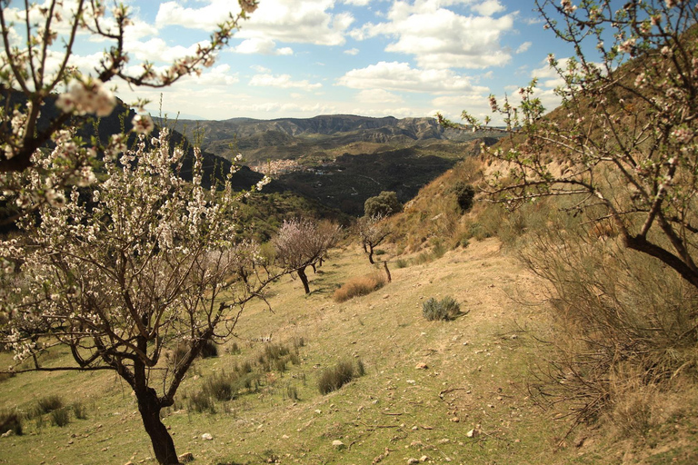 Granada: Tour in bicicletta della natura, della fauna selvatica e dei villaggi autentici