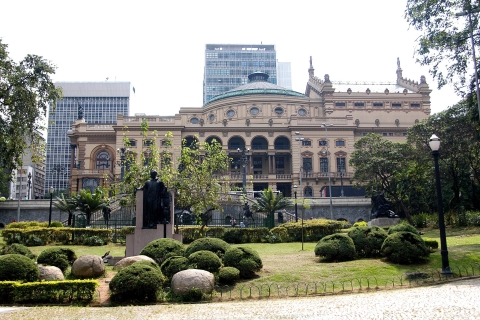 Bienvenidos a São Paulo: tour a pie privado con un lugareñoTour de 8 horas