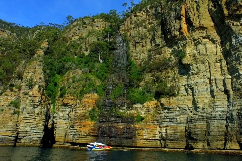 Ab Hobart: Tasman-Halbinsel Bootstour & Tasmanische Teufel