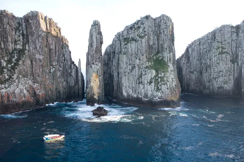 Excursion d'une journée dans la péninsule de Tasman avec croisière et diables au départ de Hobart