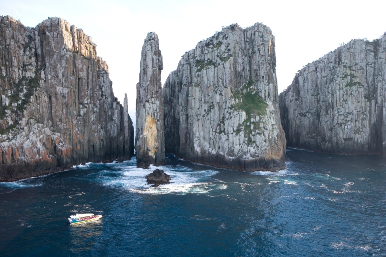 Ab Hobart: Tasman-Halbinsel Bootstour & Tasmanische Teufel