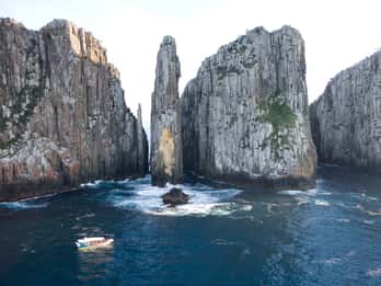 Tasman Peninsula Day Trip with Cruise & Devils from Hobart