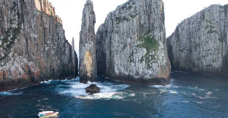 Tasmano pusiasalio dienos kelionė su kruizu ir velniais iš Hobarto