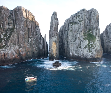 Tasman Peninsula Day Trip with Cruise & Devils from Hobart