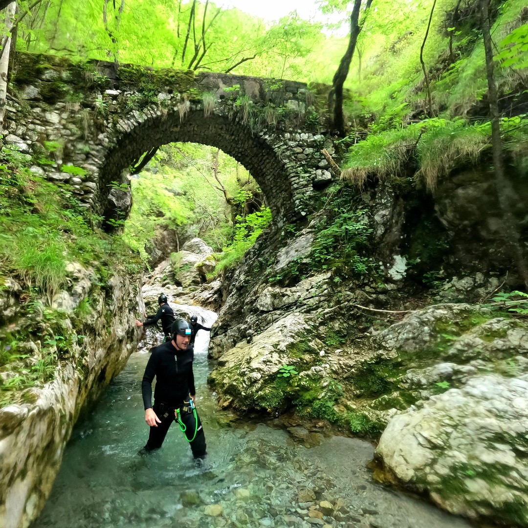 Galería de fotos para redes