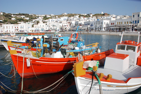 Mykonos: Stadsrondleiding van een halve dag en bustour over het eilandStads- en eilandtour 2024