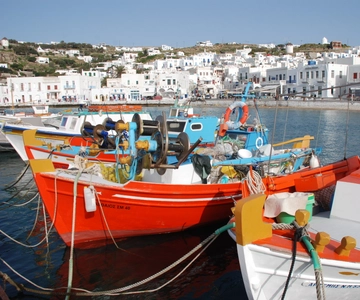Mykonos : visite d'une demi-journée à pied de la ville et visite de l'île en bus