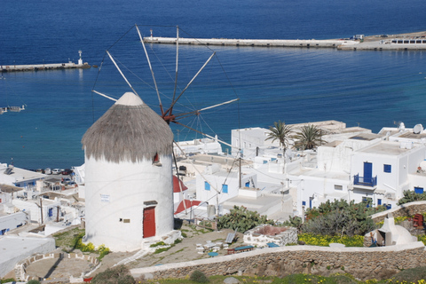 Mykonos: Stadsrondleiding van een halve dag en bustour over het eilandStads- en eilandtour 2024