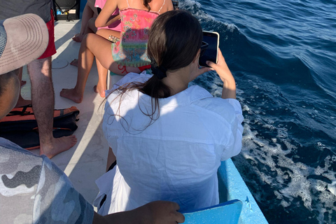 Puerto Escondido: Bootstour zu Delfinen und MeerestierenPrivate Tour