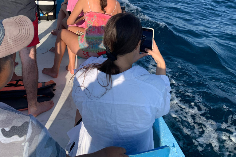 Puerto Escondido: Bootstour zu Delfinen und MeerestierenPrivate Tour