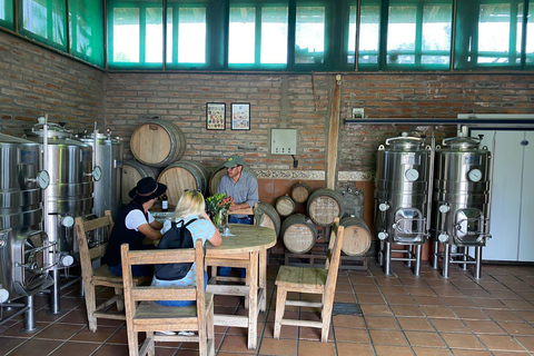 Quito: Halbtägige Tour durch hochgelegene Weinberge und Weinverkostung