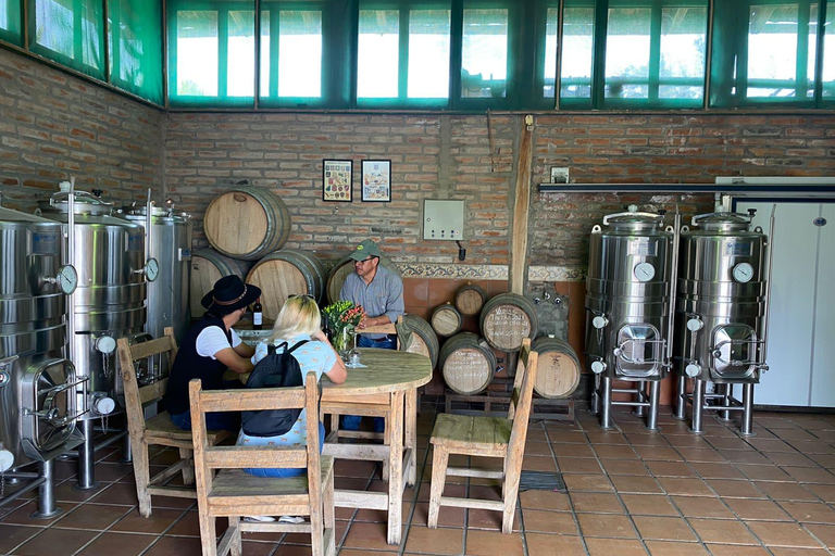 Quito: Passeio de meio dia a vinhedos de altitude e degustação de vinhos