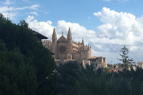 Palma de Mallorca: tour guiado por el centro histórico