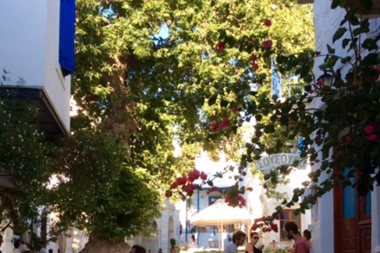 Depuis Mykonos : voyage d’une journée à l’île de TinosCircuit au départ du port de Tinos