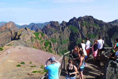 Madeira: Full-Day Private Jeep Tour (East or West)