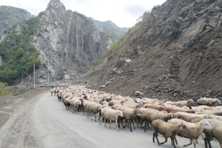 Eine Ganztagestour durch die Regionen Schamakhi und Lahij