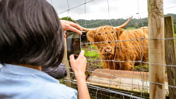 edinburgh loch ness and scottish highlands fullday tour